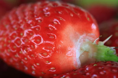 Ernährung bei chronisch entzündlichen Darmerkrankungen im Alltag meistern