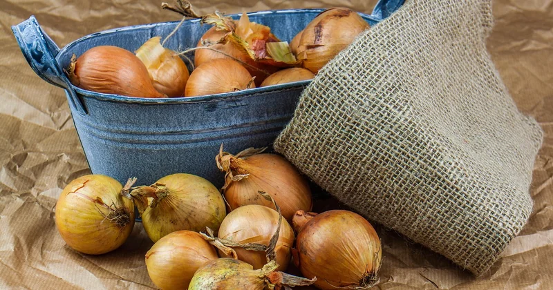 Kreative Wege für Liebesgedichte