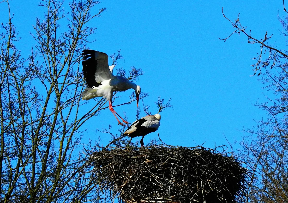 Zeit und Energie managen, nicht nur Aufgaben abhaken