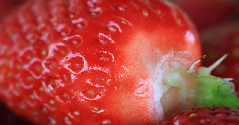 Gekocht oder geröstet – macht das einen Unterschied?